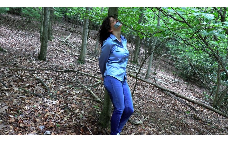 Bursting In The Woods (MP4) - Jasmine St James Bursting In The Woods (MP4) - Jasmine St James