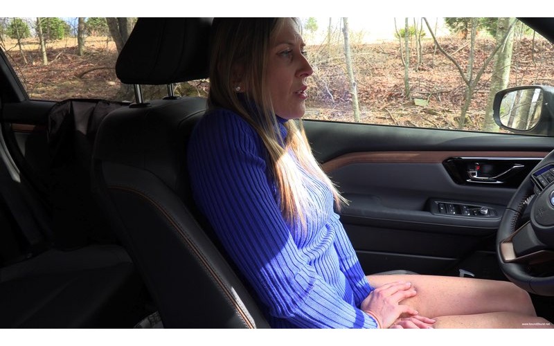 Surveillance Problem (MP4) - Sinthia Bee Surveillance Problem (MP4) - Sinthia Bee